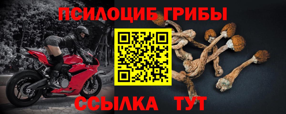 Псилоцибиновые грибы Magic Shrooms  Вход с VPN  Петрозаводск 