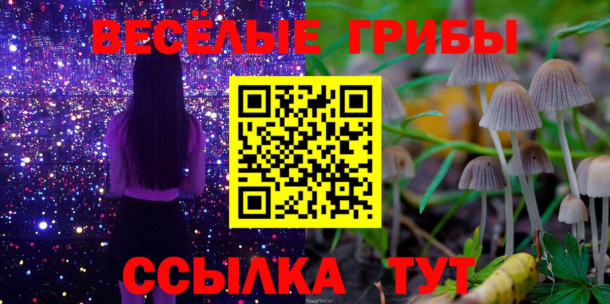 Петрозаводск  Каннабис  LSD-25  Кокаин  ГЕРОИН  Вход с VPN  МЕТАДОН  МЕФ   A-PVP СК кристаллы  Купить наркотик 