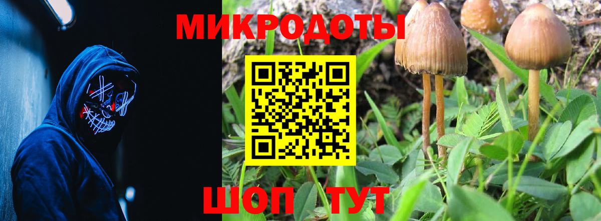 Галлюциногенные грибы Cubensis Петрозаводск